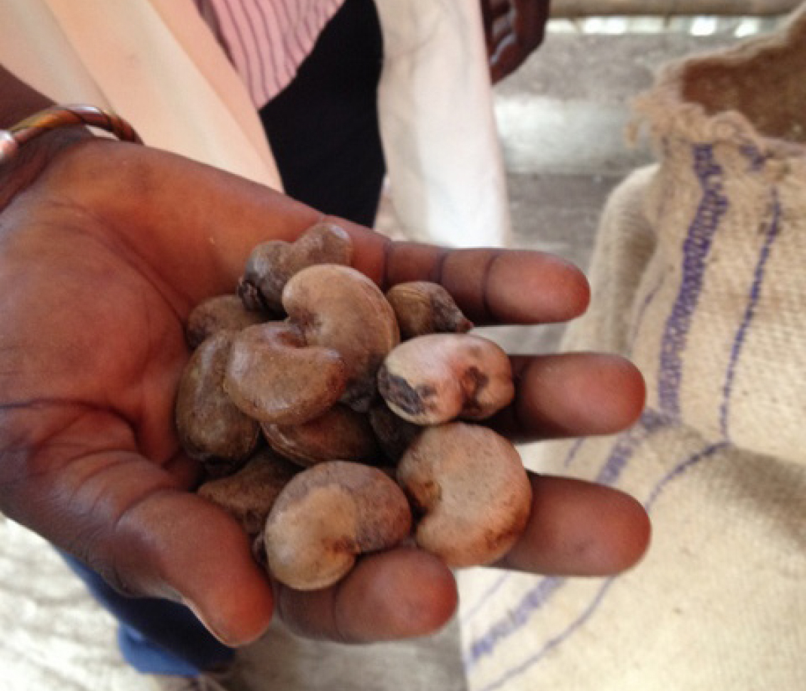 Cashew Development Fund