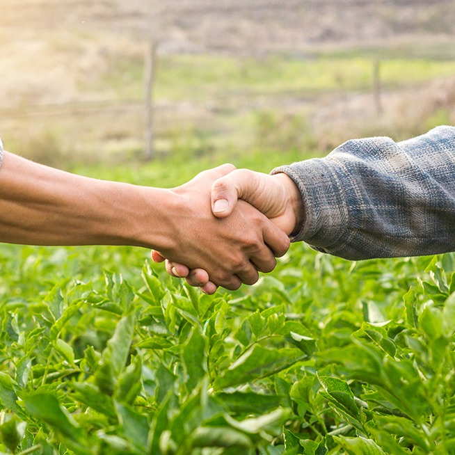Długofalowa partnerska współpraca z rolnikami